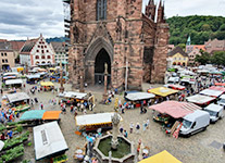 Freiburg im Breisgau